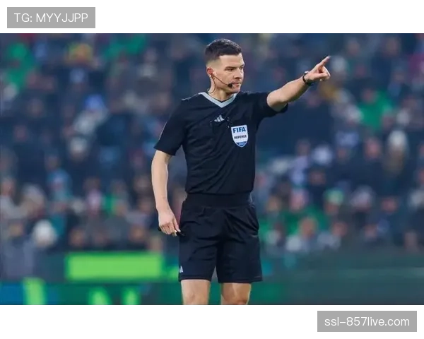 德国足球协会召开研讨会，探讨防守数据在裁判判罚尺度统一中的应用前景